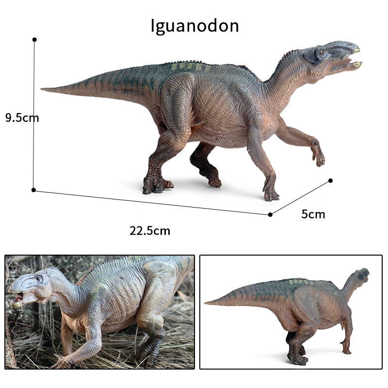 Đồ chơi khủng long Jurassic Mô phỏng khủng long rắn Mô hình iguanodon Động vật nhận thức Nhựa Trang trí mô hình