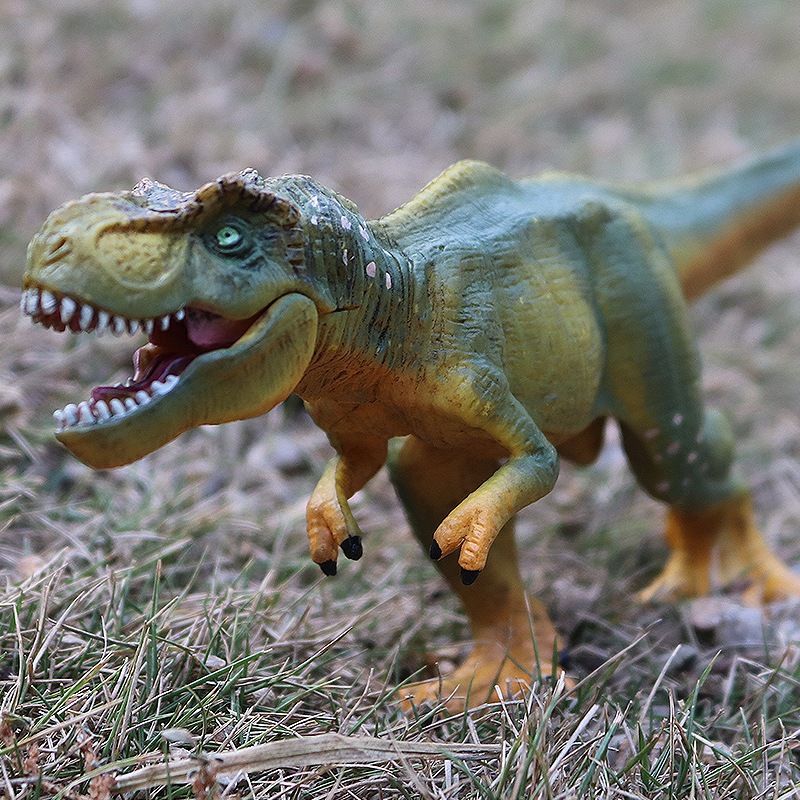 Kỷ Jura Rắn Khủng Long Đồ Chơi Mô Phỏng Nhựa Mô Hình Động Vật Trẻ Em Đi Bộ Tyrannosaurus Rex Bé Trai Quà Tặng