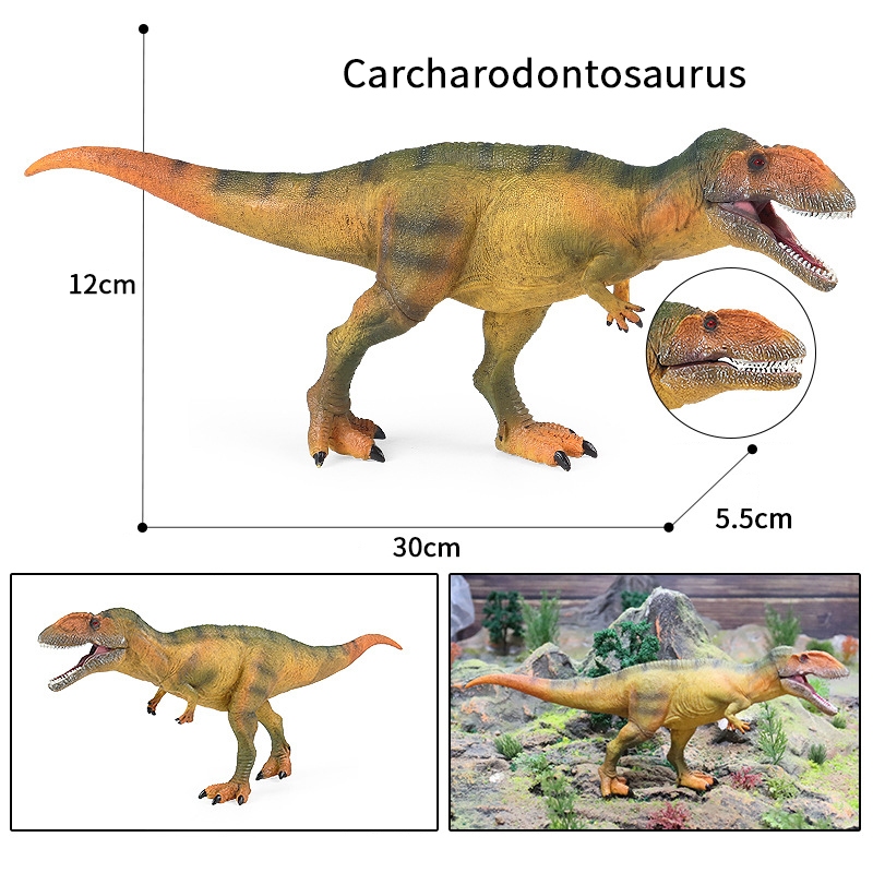 Trẻ em mô phỏng động vật khủng long mô hình tĩnh lớn Carcharodontosaurus tyrannosaurus rex cậu bé đồ chơi nhựa trang trí cảnh