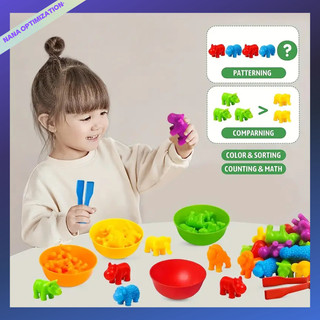 Đồ Chơi Giáo Dục Nhận Thức Sớm Hình Gấu Koalas Nhận Biết Phương Tiện Montessori Cho Trẻ Em 1-3 Tuổi