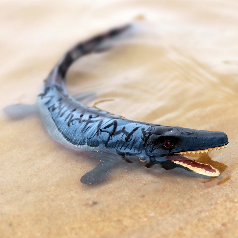 Mô phỏng kỷ Jura Mô hình khủng long rắn tĩnh Tyrannosaurus Rex Tylosaurus Đồ chơi Động vật Mô hình thủ công
