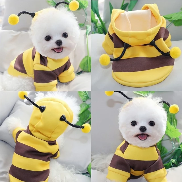 [Hipidog] Trang phục ong nhỏ Trang phục Halloween Quần áo Quần áo mèo Trang phục ong cho chó Bumblebee màu vàng Áo khoác thú cưng cho chó nhỏ Quần áo mèo mùa đông Áo có mũ trùm đầu cho chó con