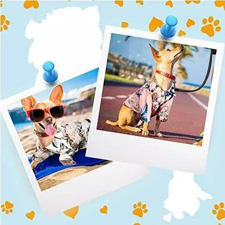 Dog Pet Cat Shirt Hawaii – 6