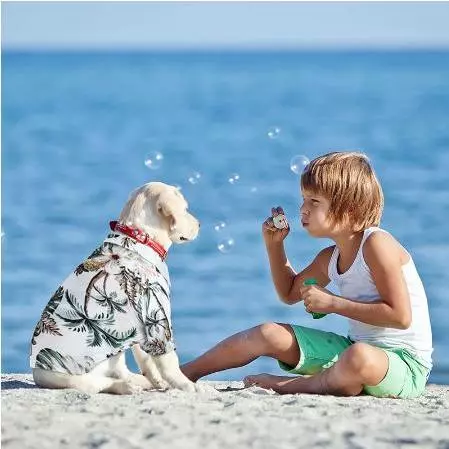 Dog Pet Cat Shirt Hawaii – 7