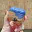 VAN GOGH'S DREAM Earphone Cover for AirPods Pro 3 gen case TPU Earphone Case New for AirPods 4 Earphone Case Compatible with AirPods Pro case AirPods 2 gen case