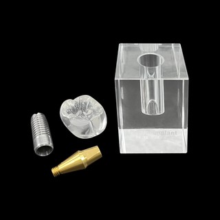 3x Mô hình cấy ghép nha khoa trong suốt Crystal Crown Phân tích có thể tháo rời Mô hình nghiên cứu Giảng dạy Mô hình nghiên cứu Dụng cụ nha khoa