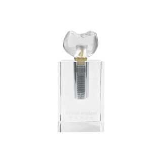 3x Mô hình cấy ghép nha khoa trong suốt Crystal Crown Phân tích có thể tháo rời Mô hình nghiên cứu Giảng dạy Mô hình nghiên cứu Dụng cụ nha khoa