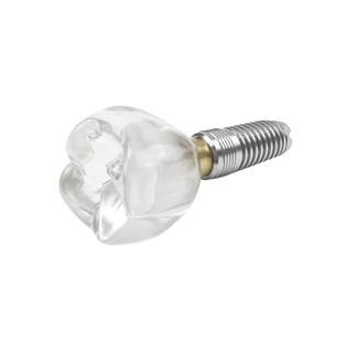 3x Mô hình cấy ghép nha khoa trong suốt Crystal Crown Phân tích có thể tháo rời Mô hình nghiên cứu Giảng dạy Mô hình nghiên cứu Dụng cụ nha khoa