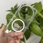 Dành Cho Xiaomi Mi 14 15 Ultra Ốp điện thoại ELVEV Trong Suốt Mờ Cứng PC Chống Sốc Bán Trong Suốt Mặt Sau Hút