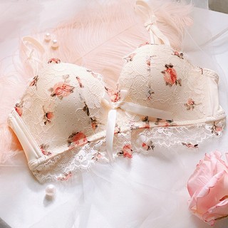 Quần lót tập hợp ngực nhỏ dành cho nữ sau sức khỏe 【 Retro Tranh sơn dầu Hoa hồng 】 Vòng thép không thể điều chỉnh Áo ngực gợi cảm cho bé gái