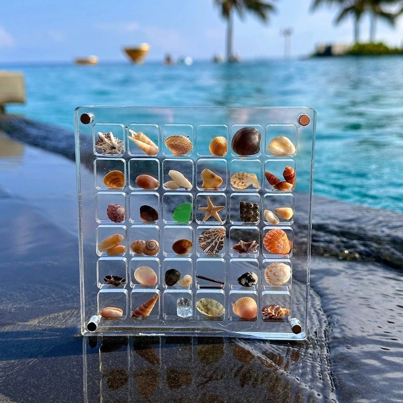 Hộp lưu trữ vỏ sò từ tính Acrylic - Hộp trưng bày vỏ sò di động trong lưới 36 / 64 / 100, hoàn hảo cho người sưu tập vỏ du lịch