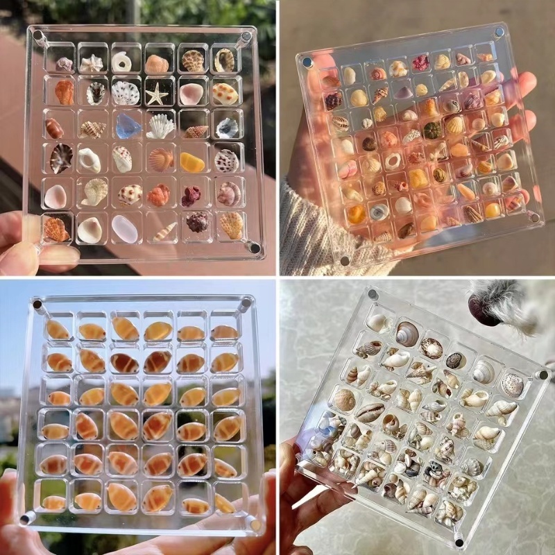 Hộp lưu trữ vỏ sò từ tính Acrylic - Hộp trưng bày vỏ sò di động trong lưới 36 / 64 / 100, hoàn hảo cho người sưu tập vỏ du lịch