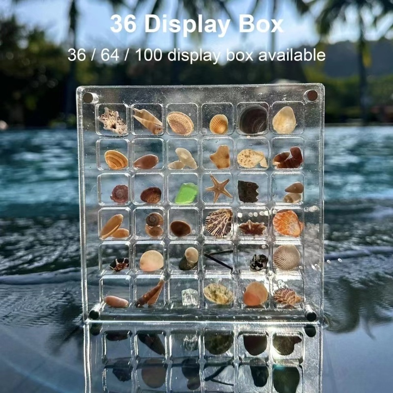 Hộp lưu trữ vỏ sò từ tính Acrylic - Hộp trưng bày vỏ sò di động trong lưới 36 / 64 / 100, hoàn hảo cho người sưu tập vỏ du lịch