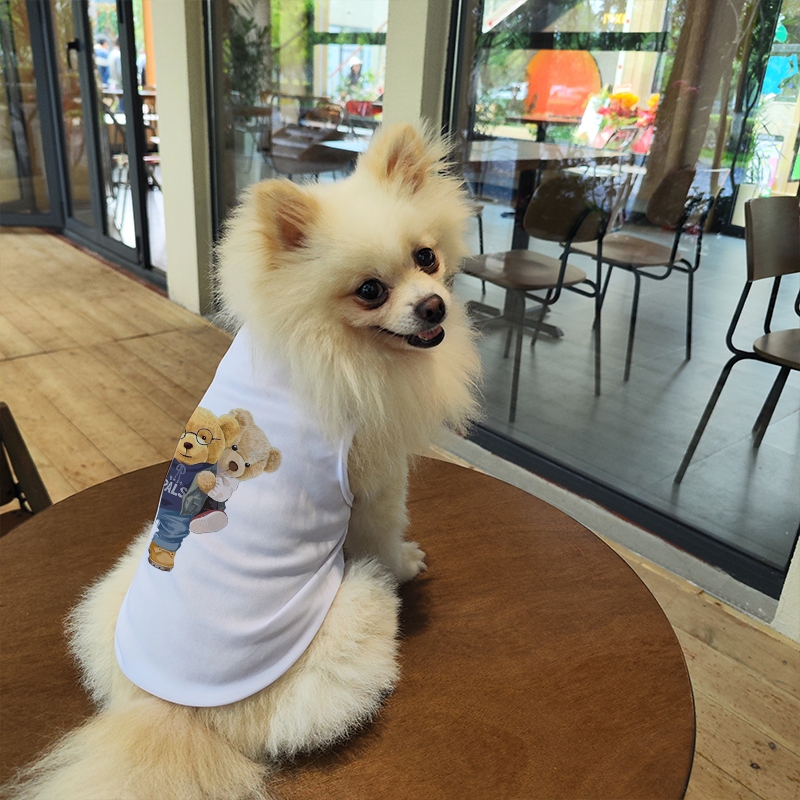 Mèo / Chó Mùa Xuân Xu Hướng Thời Trang Mới In Hình Tank Top Quần Áo Thú Cưng