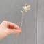 Kẹp Tóc Phẳng Bằng Kim Loại Đơn Giản Thời Trang Cá Tính Hiện Đại Dành Cho Bạn Nữ