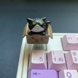 Keycaps mèo dễ thương ABS keycaps tùy chỉnh LED trong suốt qua keycap