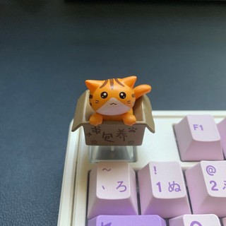 Keycaps mèo dễ thương ABS keycaps tùy chỉnh LED trong suốt qua keycap