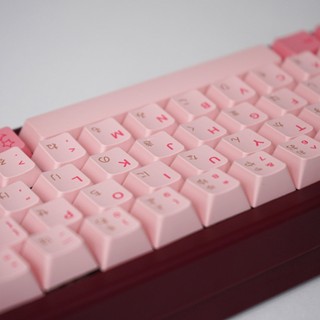 Ania Keycaps PBT Dye-sub Cherry Profile Keycap Custom Keycaps Tương thích với công tắc Cherry Gateron MX