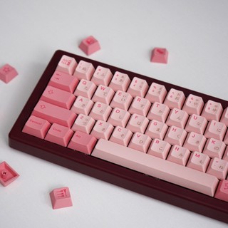 Ania Keycaps PBT Dye-sub Cherry Profile Keycap Custom Keycaps Tương thích với công tắc Cherry Gateron MX