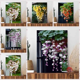 MOZI✨30 * 40cm / 40 * 50cm hoa thu hải đường tranh tô màu theo số tranh số hóa tranh sơn dầu số hoá Begonia Số Hoa Tranh Sơn Dầu diy Vẽ Tay Số Tranh Tranh Làm Đầy Tranh Niche Hoa Tranh Sơn Dầu Trang Trí Phòng Khách Tranh