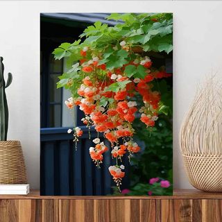MOZI✨30 * 40cm / 40 * 50cm hoa thu hải đường tranh tô màu theo số tranh số hóa tranh sơn dầu số hoá Begonia Số Hoa Tranh Sơn Dầu diy Vẽ Tay Số Tranh Tranh Làm Đầy Tranh Niche Hoa Tranh Sơn Dầu Trang Trí Phòng Khách Tranh