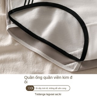 2024 Quần lót nữ mới Breathable Triangle Quần short