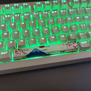 Sakura Fuji 6.25U Thanh không gian Keycaps PBT Dye Thăng hoa OEM Profile Keycap
