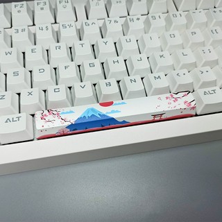 Sakura Fuji 6.25U Thanh không gian Keycaps PBT Dye Thăng hoa OEM Profile Keycap