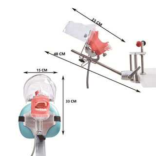 Mô phỏng nha khoa đơn giản Mô hình đầu Phantom Manikin có răng để thực hành Đào tạo Nha sĩ Giảng dạy Thiết bị nha khoa