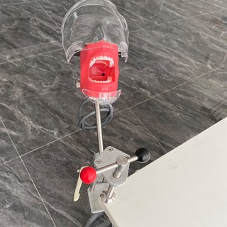 Mô phỏng nha khoa đơn giản Mô hình đầu Phantom Manikin có răng để thực hành Đào tạo Nha sĩ Giảng dạy Thiết bị nha khoa