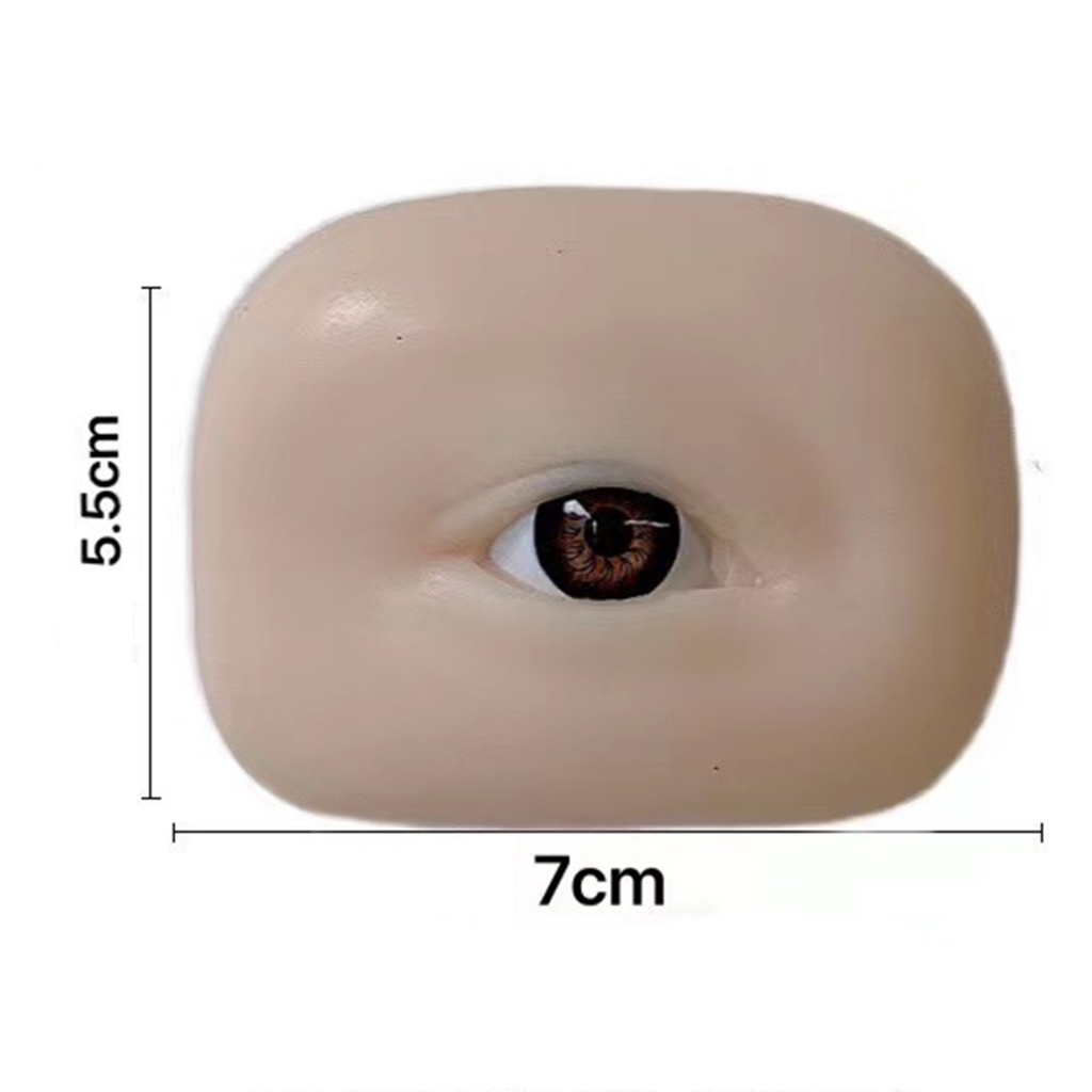 Mô hình thực hành silicon lông mày Mô hình lông mày mềm mại trông thực tế cho phụ kiện thực hành lông mày
