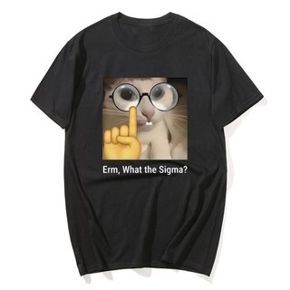 Erm, Sigma gì? Ngộ nghĩnh Meme Áo nam Nữ Silly Mèo Hài Hước In Hình Thời Trang Áo Cotton Cổ Tròn Dễ Thương Oversize Dạo Phố