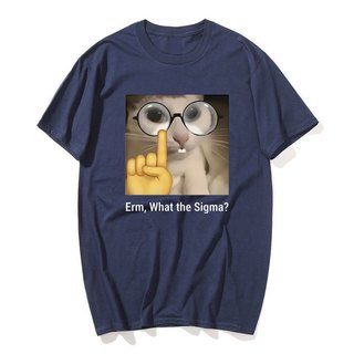 Erm, Sigma gì? Ngộ nghĩnh Meme Áo nam Nữ Silly Mèo Hài Hước In Hình Thời Trang Áo Cotton Cổ Tròn Dễ Thương Oversize Dạo Phố