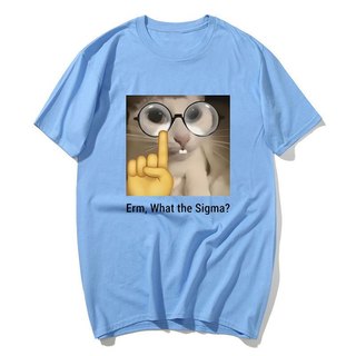 Erm, Sigma gì? Ngộ nghĩnh Meme Áo nam Nữ Silly Mèo Hài Hước In Hình Thời Trang Áo Cotton Cổ Tròn Dễ Thương Oversize Dạo Phố