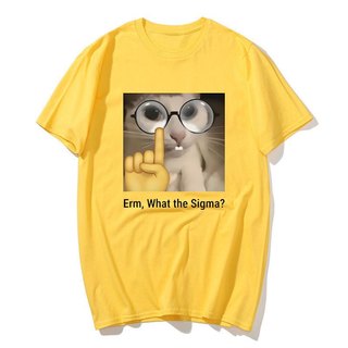 Erm, Sigma gì? Ngộ nghĩnh Meme Áo nam Nữ Silly Mèo Hài Hước In Hình Thời Trang Áo Cotton Cổ Tròn Dễ Thương Oversize Dạo Phố