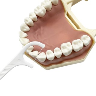 1 Đóng Hộp Nha Khoa Floss Gói Du Lịch Di Động Dùng Một Lần Siêu Mịn Tăm Dây Nha Khoa Bóng Hộp Bảo Quản Chăm Sóc Răng Miệng