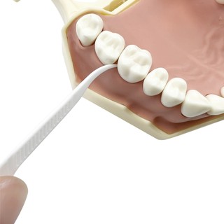 1 Đóng Hộp Nha Khoa Floss Gói Du Lịch Di Động Dùng Một Lần Siêu Mịn Tăm Dây Nha Khoa Bóng Hộp Bảo Quản Chăm Sóc Răng Miệng