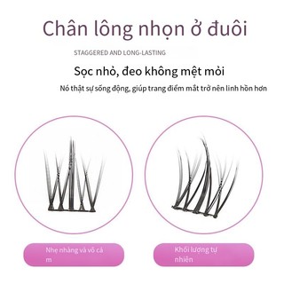 Bộ ba Sản phẩm mới Hoa hướng dương Lông mi giả Mẹ Sức sống Trang điểm khỏa thân tự nhiên Có thể tái sử dụng