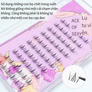 Four Beauty Series Lười Tự Nhiên Ngắn Lông Mi Dưới Cụm Đơn Người Mới Dày Photogenic Phân Đoạn Truyện Tranh Lông Mi Giả