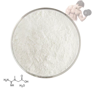 Bán buôn Bột Creatine Số lượng lớn Thực phẩm bổ sung dinh dưỡng Bột Creatine Monohydrat