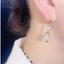 Bông tai Opal cao cấp Bông tai Thiết kế thích hợp Người ảnh hưởng khí quyển Thời trang Bông tai phù hợp 2024 Phong cách mới Hợp thời trang