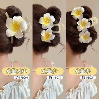Frangipani Grab Kẹp Nữ 2026 Mới Cao Cấp Cảm Ứng Hoa Cá Mập Kẹp