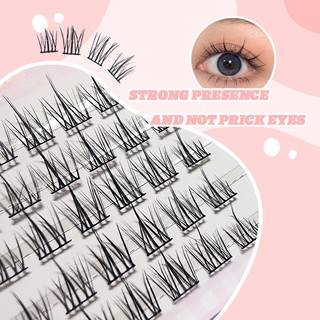 Hộp Lông Mi Giả Derf 10 Hàng 12mm mi giả anime tự nhiên dung tích lớn ...