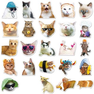 Bộ 50 Thú Vui Mèo Meme Dán Hoạt Hình Dễ Thương Graffiti Đề Can PVC Chống Thấm Nước Miếng Dán