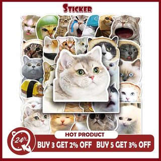 Bộ 50 Thú Vui Mèo Meme Dán Hoạt Hình Dễ Thương Graffiti Đề Can PVC Chống Thấm Nước Miếng Dán