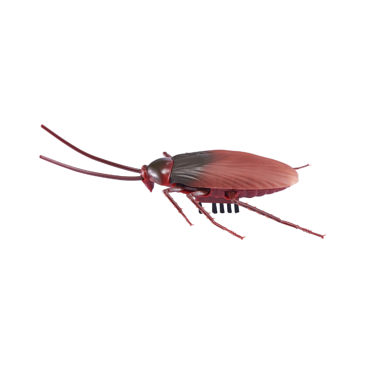Robo Alive Electronic Crawling Cockroach Đồ chơi robot chạy bằng pin của ZURU - Thú cưng điện tử