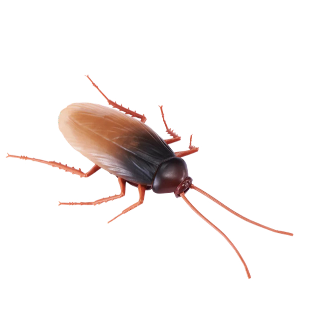 Robo Alive Electronic Crawling Cockroach Đồ chơi robot chạy bằng pin của ZURU - Thú cưng điện tử