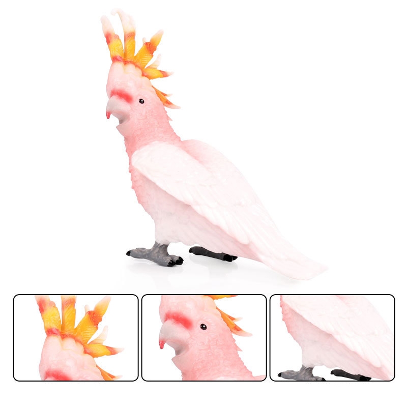 Trẻ em rắn mô phỏng động vật thế giới chim mô hình cockatoo trang trí đồ chơi mô hình