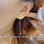 Bông tai titan không gỉ mạ vàng 18k thiết kế dáng dài hình bướm dễ thương dành cho nữ
