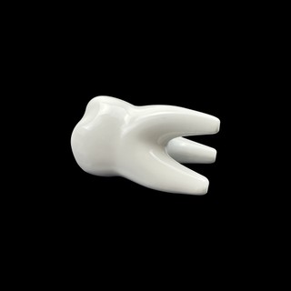 1 Cái Sáng Tạo Dễ Thương Hình Răng Gốm Bút Cho Nha Khoa Phòng Khám Để Bàn Lưu Trữ Bút Vui Vẻ Văn Phòng Phẩm Hộp Nha Sĩ Quà Tặng